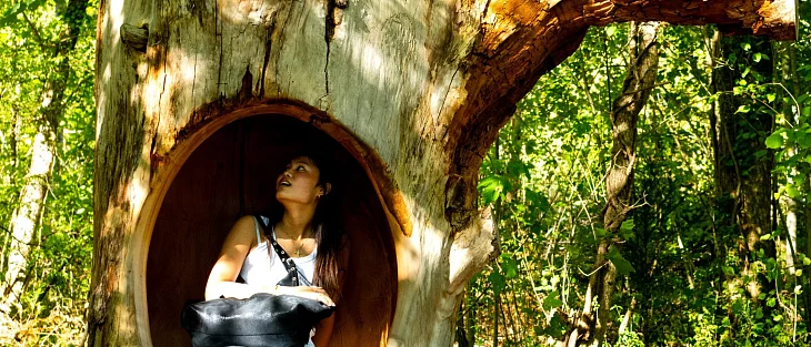 The Sounding Forest : La Fontaine’s fables at Vaux-le-Vicomte