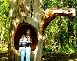 Le Forêt Sonore