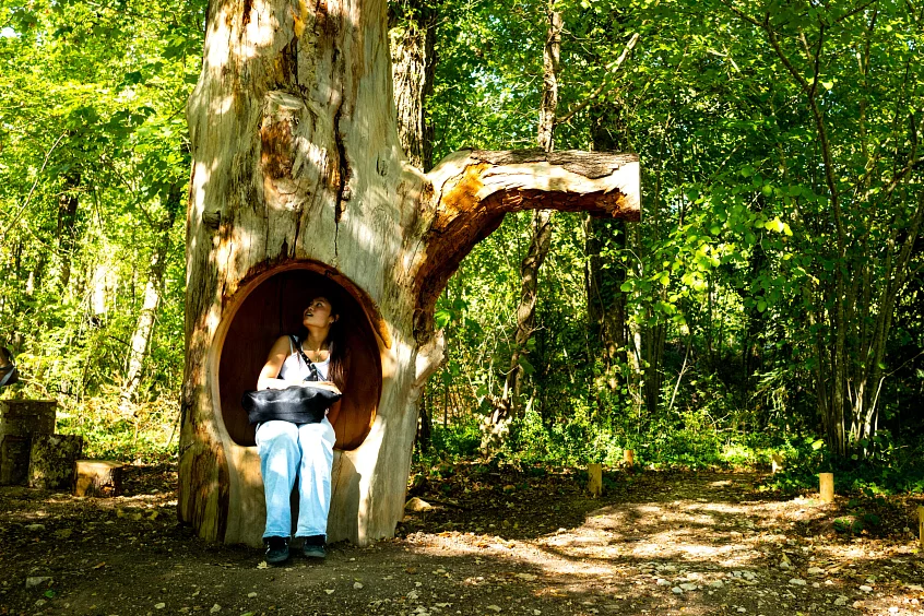 La Forêt Sonore vous plonge dans les Fable de la Fontaine