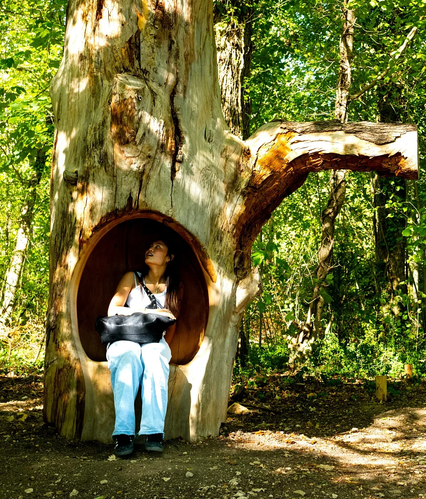 Le Forêt Sonore