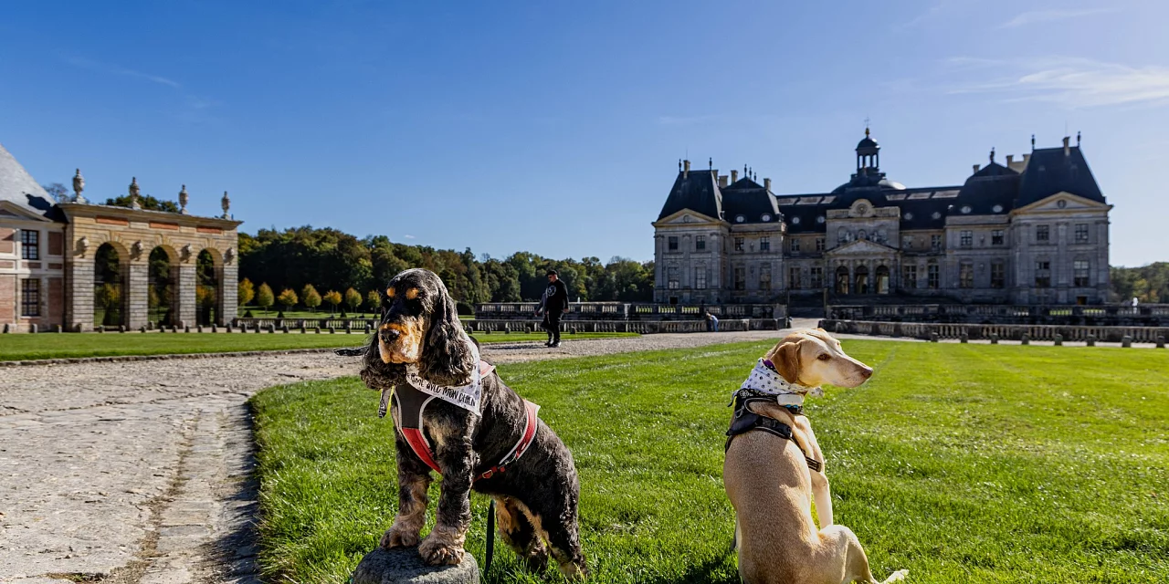 Vaux-le-Vicomte se visite aussi avec son chien 