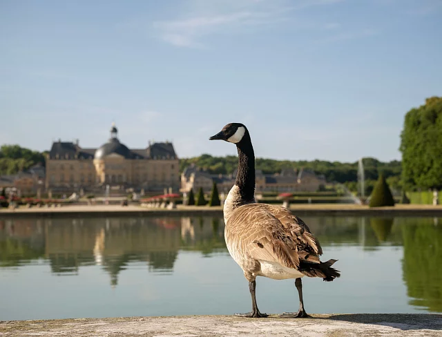 Sustainable Development